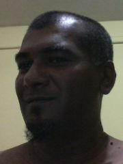 octomale