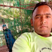 anishal9024