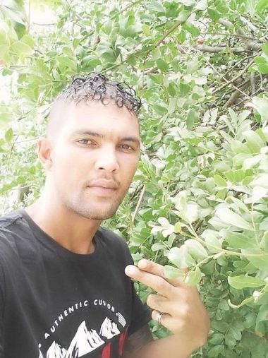 Chilo_5230
